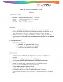 Tesis educación física