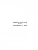 Sistemas de Gestion de la calidad guia admin de procesos