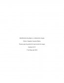 Tecnicas para la gestion de prevencion de riesgos semana