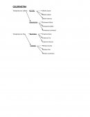 12 subestaciones de colorimetria