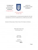 Tesis Funcionalidad en el adulto mayor