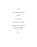 Lógica jurídica ensayo