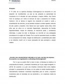 Análisis del caso: Boutique Extravaganzza