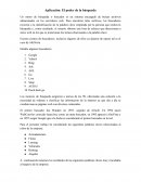 Sistema aplicación busqueda