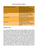 Multiculturalidad en México