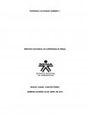 EVIDENCIA ACTIVIDAD NUMERO 1