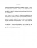 Flujo Circular ensayo