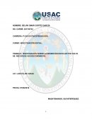 TRABAJO: INVESTIGACIÓN SOBRE LA DESERCIÓN ESCOLAR POR FALTA DE RECURSOS SOCIOECONÓMICOS.
