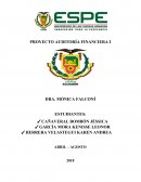 PROYECTO AUDITORÍA FINANCIERA I