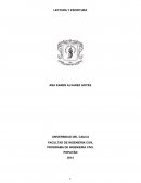 Ensayo politica y sociedad