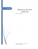 Historia de dos culturas