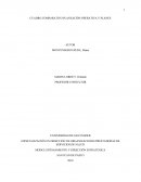 CUADRO COMPARATIVO PLANEACIÓN OPERATIVA Y PLANES