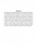 Cuadro Resumen de conducta alimentaria