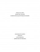 ELABORACIÓN DE UN PROGRAMA DE SEGUROS