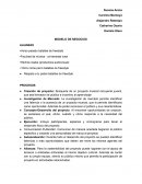 MODELO DE NEGOCIOS ALIANZAS