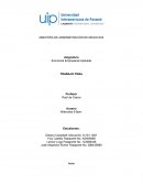 Economia Empresarial Video Conferencia Estudio de Mercado
