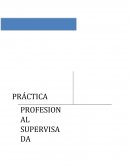 PRÁCTICA PROFESIONAL SUPERVISADA