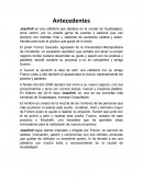 Antecedentes de una empresa