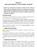 REGULACIÓN GENÓMICA, CÉLULAS MADRES, CLONACIÓN
