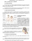 Los seres vivos y el medío ambiente