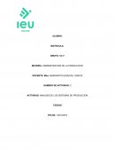 Actividad: Analisis de los sistemas de produccion