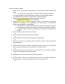 Esquema neoclásico (mezger)