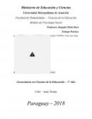 Trabajo Práctico Módulo de Psicología Social