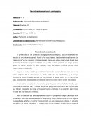 ExCarácter de la observación: Narrativa de experiencias pedagógicas.