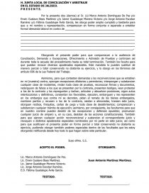 Carta poder formato. Página 1