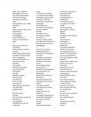 Video didactica ensayo