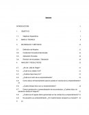 Estadísticas Emprendedores