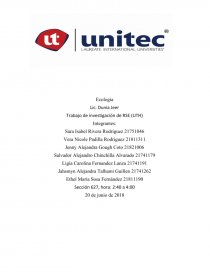 RSE informe. Página 1