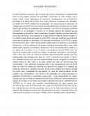 ANALISIS FINANCIERO ALFESA