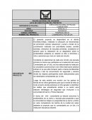 Ensayo COMANDANTE POR UN DIA