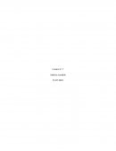 Control 7 analisis contable