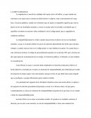 LA IMPUTABILIDAD ensayo