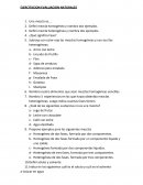 Actividades de ejercitación, evaluacion naturales