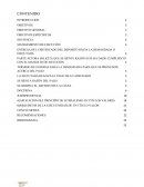 Titulo de ejecucion cogep