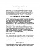 Ensayo de gestión documental