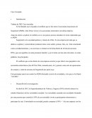 Trabajo de DSI: Caso cascadas