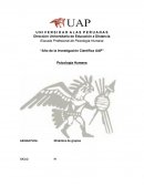 ENSAYO DINAMICAS DE GRUPO