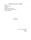 LABORATORIO DE FISIOLOGIA VEGETAL