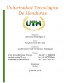 Proyecto De Gerencia Estrategica.