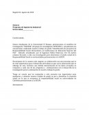 Carta Programa de Ingeniería Industrial