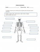PRUEBA DE NATURALEZA