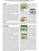 Actividad física en zona Centro de Corrientes Capital