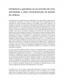 Perdedores y ganadores en los arrecifes de coral, aclimatados a altas concentraciones de dióxido de carbono