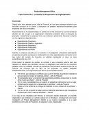 La Gestión de Proyectos en las Organizaciones