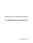 APRENDIZAJE POR PROYECTP+O
