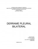 DERRAME PLEURAL BILATERAL